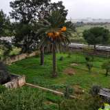 La villa si presenta circondata da un giardino con pineta (solo una parte del grande terreno che un tempo era annesso)...